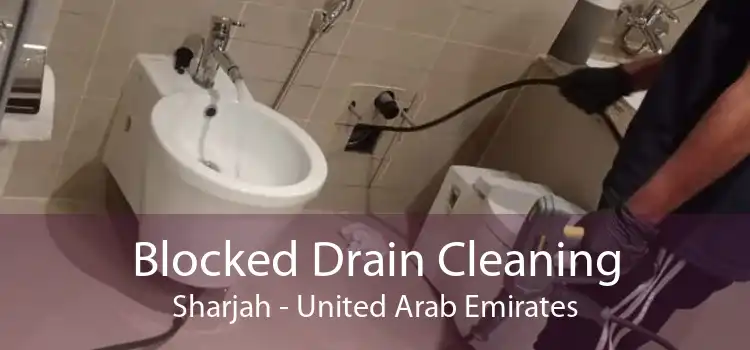 Blocked Drain Cleaning Sharjah - United Arab Emirates