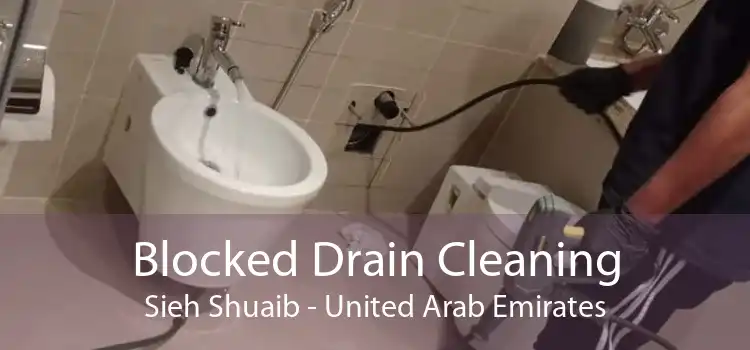 Blocked Drain Cleaning Sieh Shuaib - United Arab Emirates