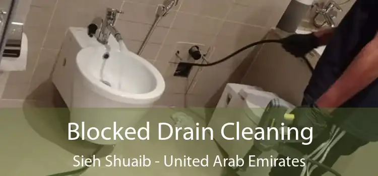 Blocked Drain Cleaning Sieh Shuaib - United Arab Emirates