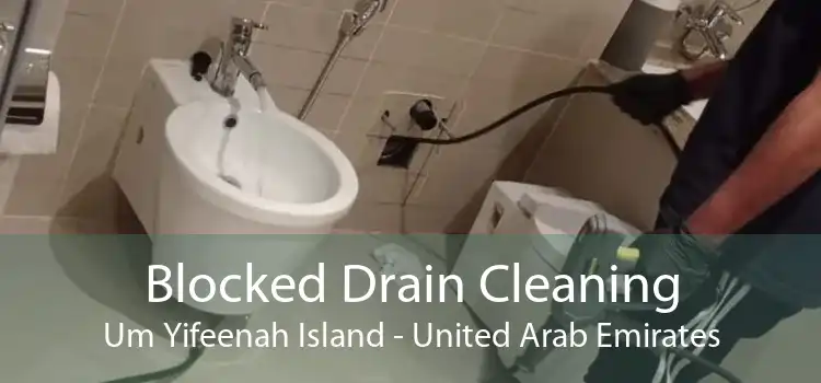 Blocked Drain Cleaning Um Yifeenah Island - United Arab Emirates