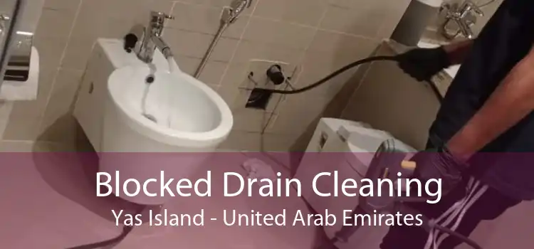 Blocked Drain Cleaning Yas Island - United Arab Emirates