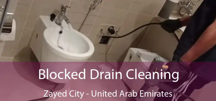 Blocked Drain Cleaning Zayed City - United Arab Emirates