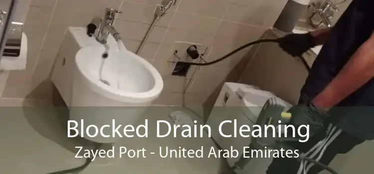 Blocked Drain Cleaning Zayed Port - United Arab Emirates