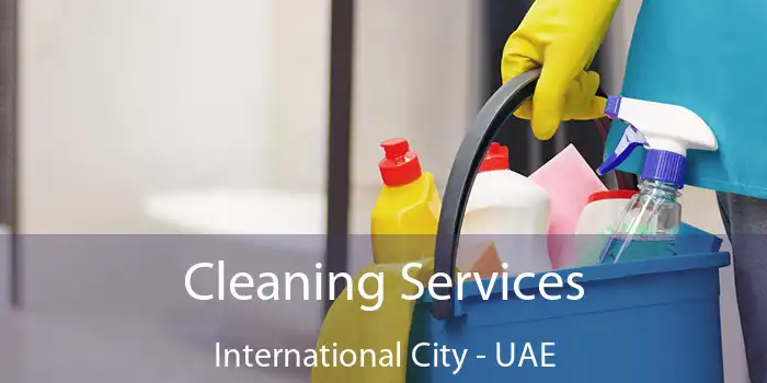Cleaning Services International City - UAE