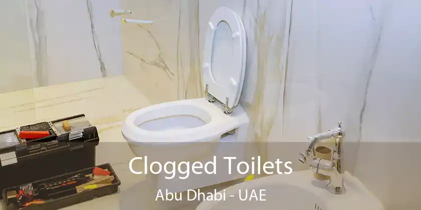  Clogged Toilets Abu Dhabi - UAE
