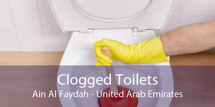 Clogged Toilets Ain Al Faydah - United Arab Emirates