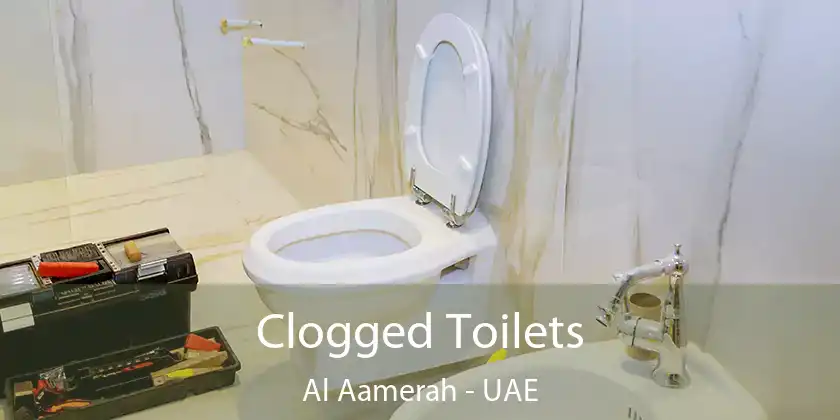  Clogged Toilets Al Aamerah - UAE