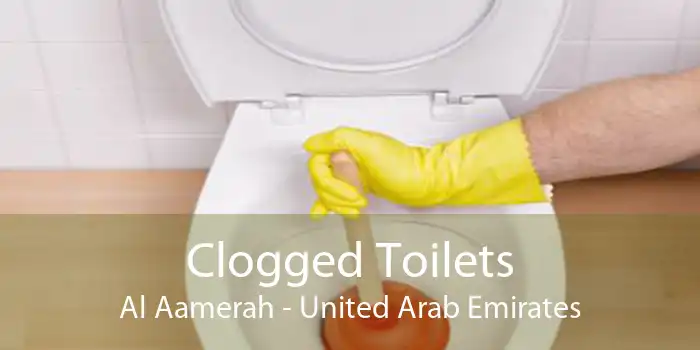 Clogged Toilets Al Aamerah - United Arab Emirates