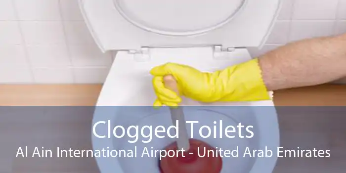 Clogged Toilets Al Ain International Airport - United Arab Emirates