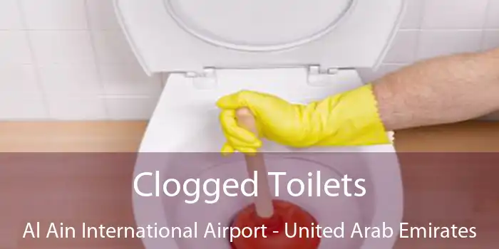 Clogged Toilets Al Ain International Airport - United Arab Emirates