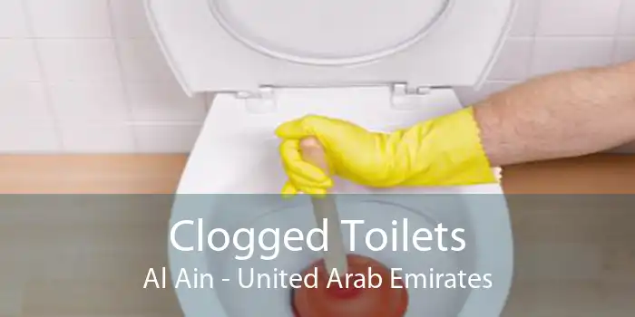 Clogged Toilets Al Ain - United Arab Emirates