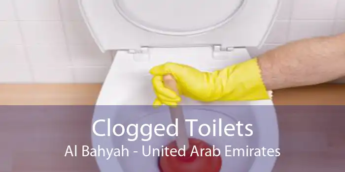 Clogged Toilets Al Bahyah - United Arab Emirates