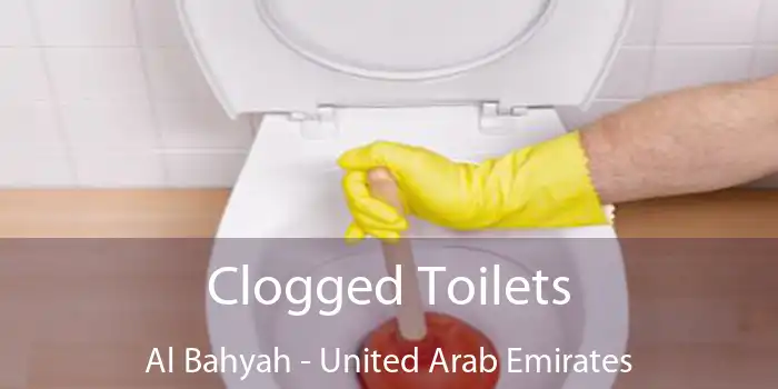 Clogged Toilets Al Bahyah - United Arab Emirates