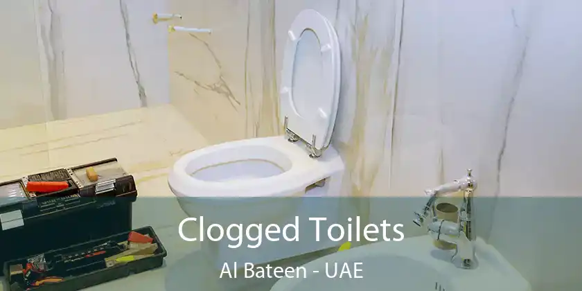  Clogged Toilets Al Bateen - UAE