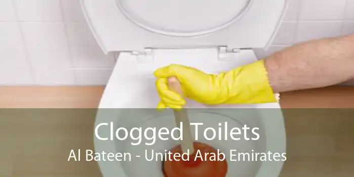 Clogged Toilets Al Bateen - United Arab Emirates