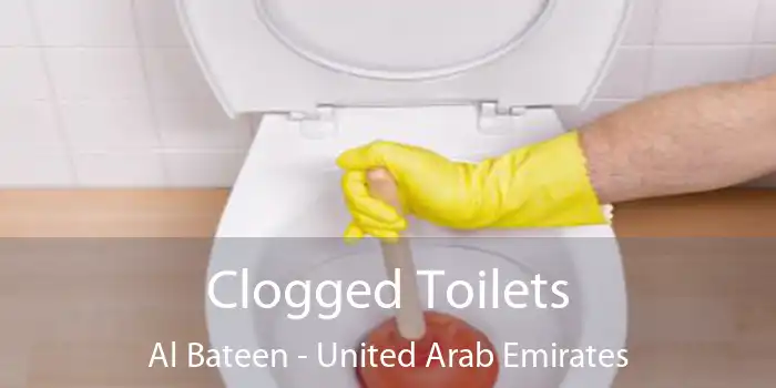 Clogged Toilets Al Bateen - United Arab Emirates