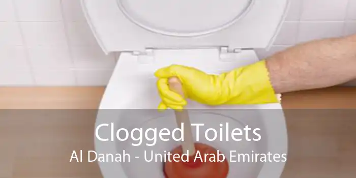 Clogged Toilets Al Danah - United Arab Emirates