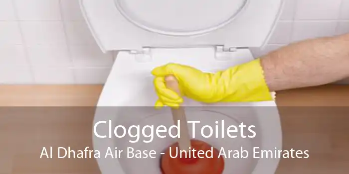 Clogged Toilets Al Dhafra Air Base - United Arab Emirates