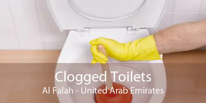 Clogged Toilets Al Falah - United Arab Emirates