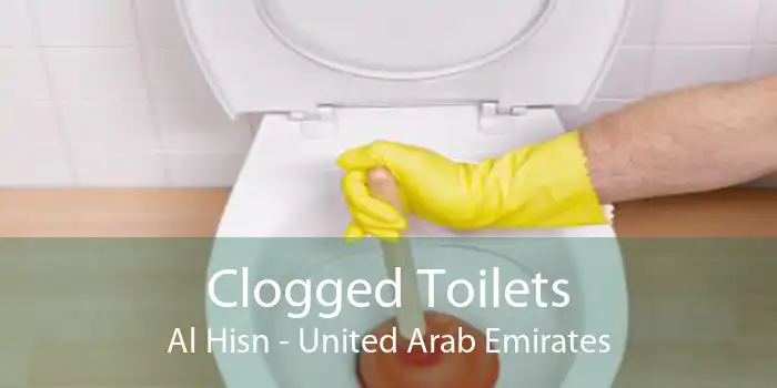 Clogged Toilets Al Hisn - United Arab Emirates