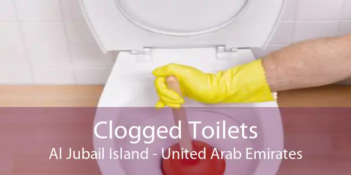 Clogged Toilets Al Jubail Island - United Arab Emirates