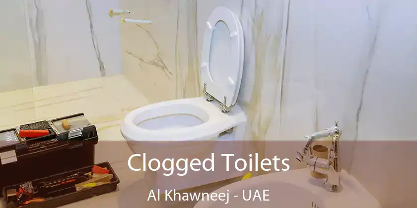 Clogged Toilets Al Khawneej - UAE