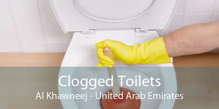 Clogged Toilets Al Khawneej - United Arab Emirates