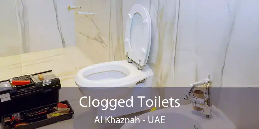  Clogged Toilets Al Khaznah - UAE