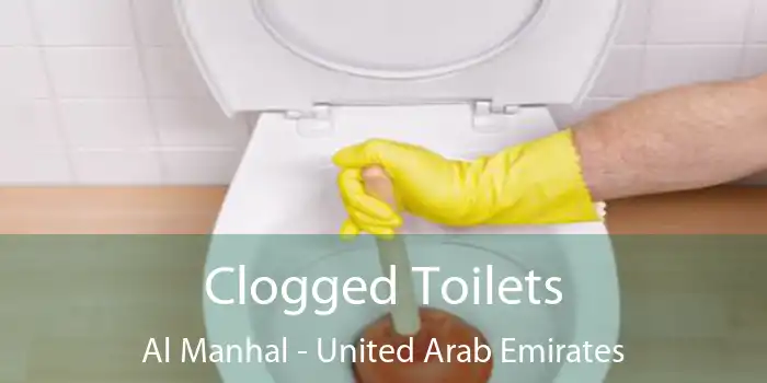 Clogged Toilets Al Manhal - United Arab Emirates