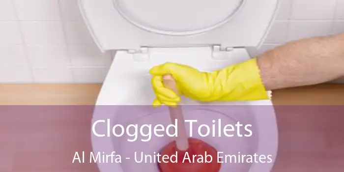 Clogged Toilets Al Mirfa - United Arab Emirates