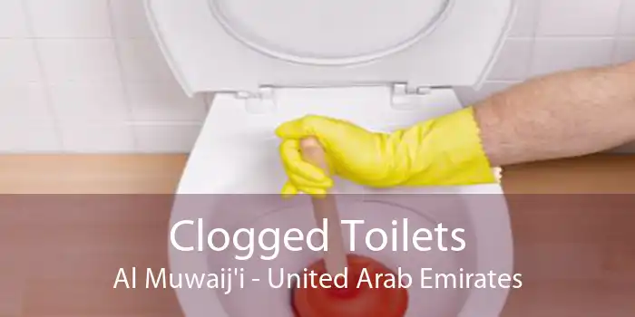 Clogged Toilets Al Muwaij'i - United Arab Emirates