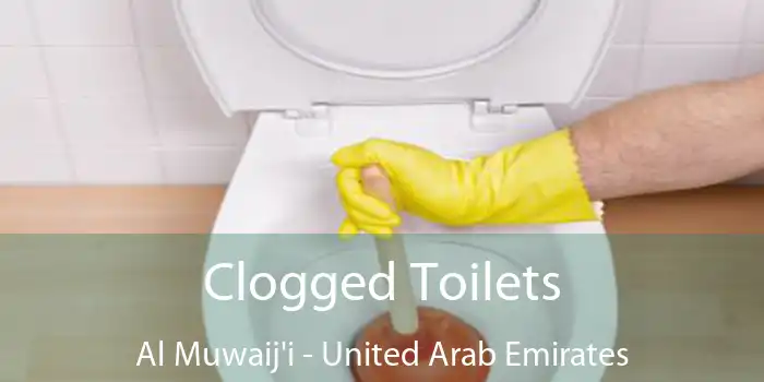 Clogged Toilets Al Muwaij'i - United Arab Emirates