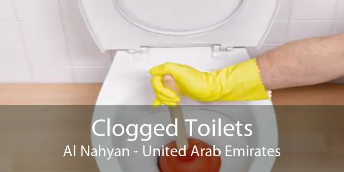 Clogged Toilets Al Nahyan - United Arab Emirates