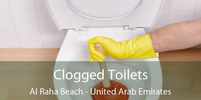 Clogged Toilets Al Raha Beach - United Arab Emirates