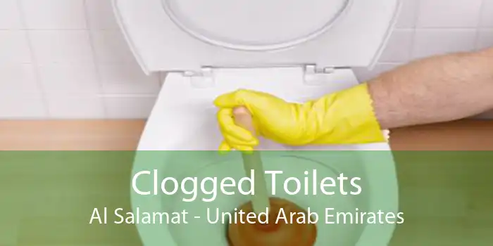 Clogged Toilets Al Salamat - United Arab Emirates