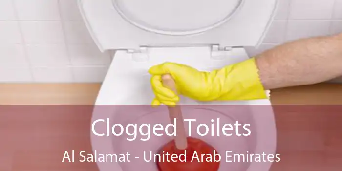 Clogged Toilets Al Salamat - United Arab Emirates