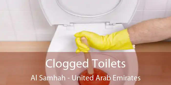 Clogged Toilets Al Samhah - United Arab Emirates