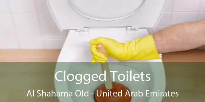 Clogged Toilets Al Shahama Old - United Arab Emirates