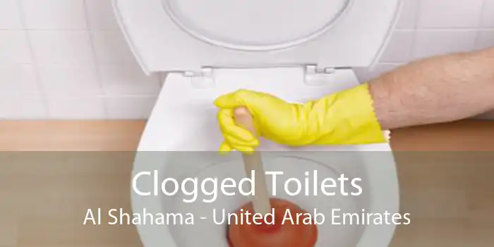 Clogged Toilets Al Shahama - United Arab Emirates