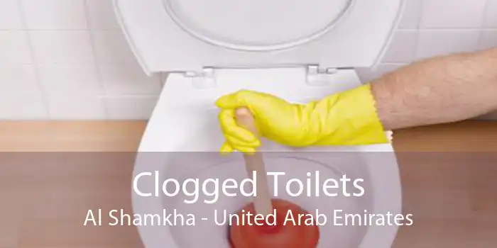 Clogged Toilets Al Shamkha - United Arab Emirates