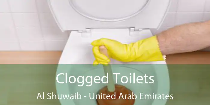 Clogged Toilets Al Shuwaib - United Arab Emirates