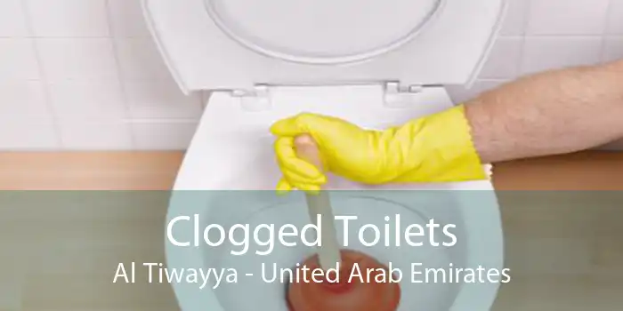 Clogged Toilets Al Tiwayya - United Arab Emirates