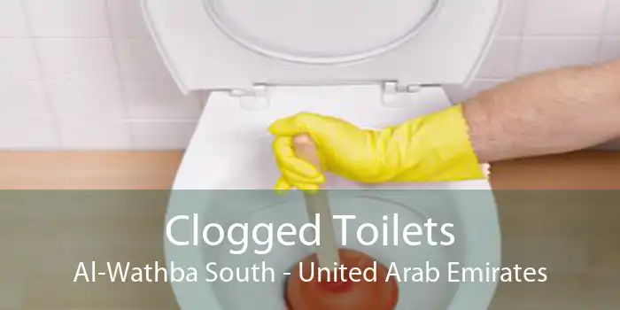 Clogged Toilets Al-Wathba South - United Arab Emirates