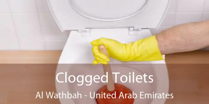 Clogged Toilets Al Wathbah - United Arab Emirates