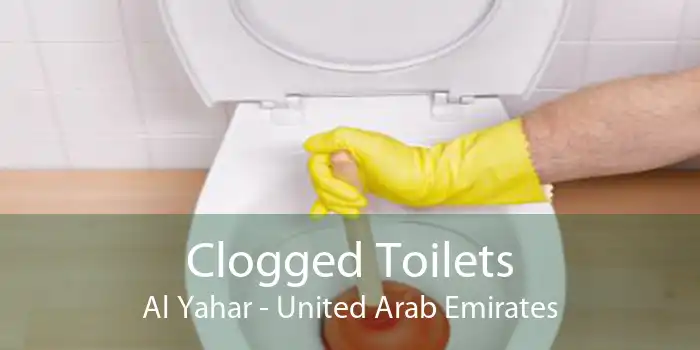 Clogged Toilets Al Yahar - United Arab Emirates