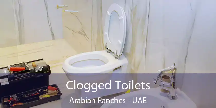  Clogged Toilets Arabian Ranches - UAE