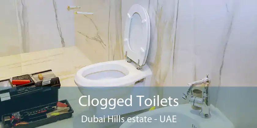 Clogged Toilets Dubai Hills estate - UAE
