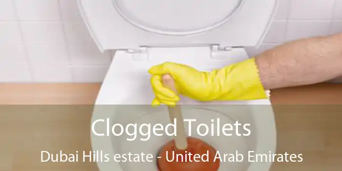 Clogged Toilets Dubai Hills estate - United Arab Emirates