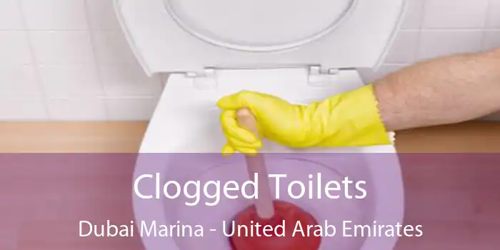 Clogged Toilets Dubai Marina - United Arab Emirates