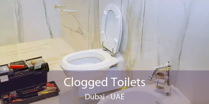  Clogged Toilets Dubai - UAE